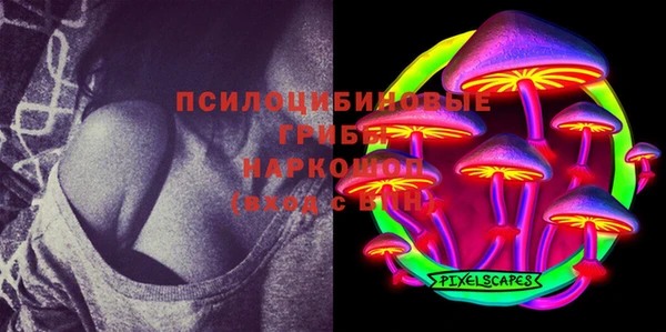 спиды Осинники