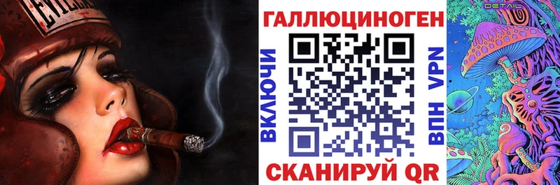 наркота  Тайга  Псилоцибиновые грибы Psilocybine cubensis 